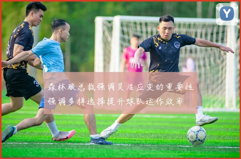 森林狼总裁强调灵活应变的重要性强调多样选择提升球队运作效率