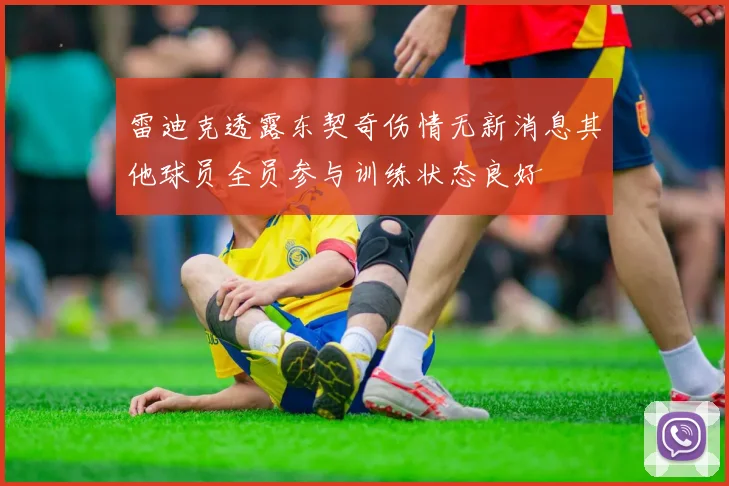 雷迪克透露东契奇伤情无新消息其他球员全员参与训练状态良好