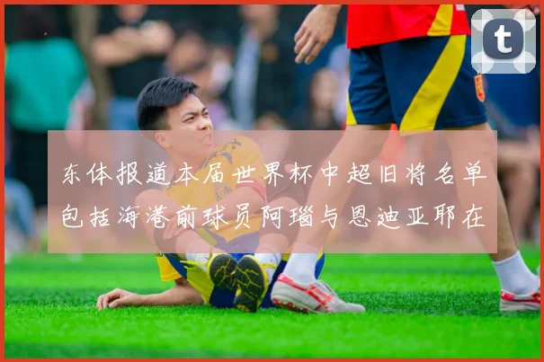 东体报道本届世界杯中超旧将名单包括海港前球员阿瑙与恩迪亚耶在内的10位球员